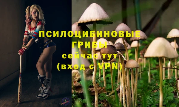 mdpv Арсеньев