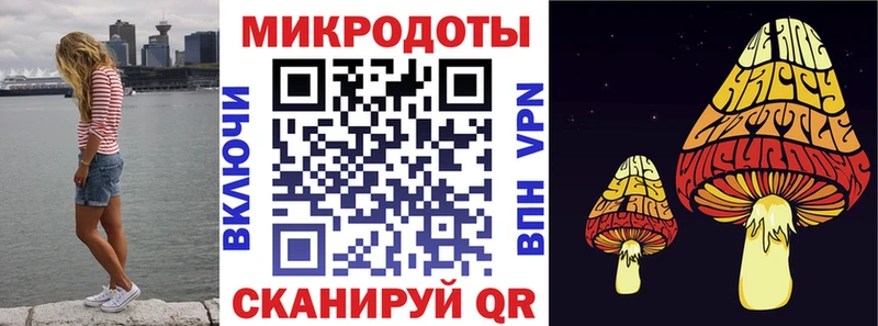 Псилоцибиновые грибы Psilocybe  Спасск-Дальний 