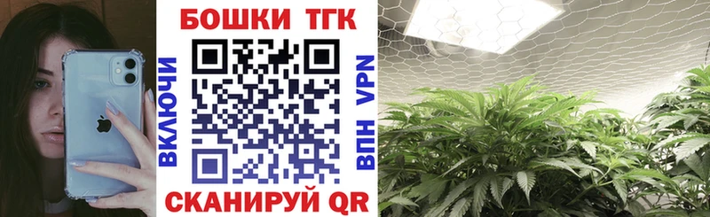 mega ссылки  купить   Спасск-Дальний  Бошки марихуана THC 21% 
